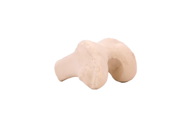 3DXTech SimuBone 2.85 mm